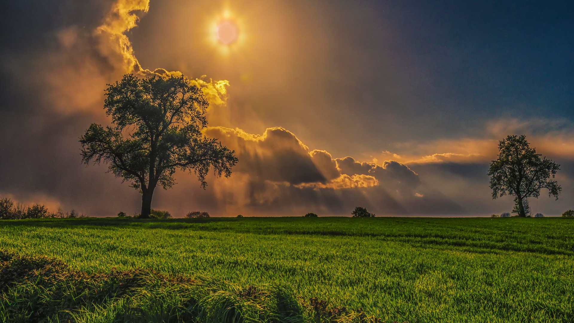 Sunlight beams through clouds over a green field with trees HD Wallpaper