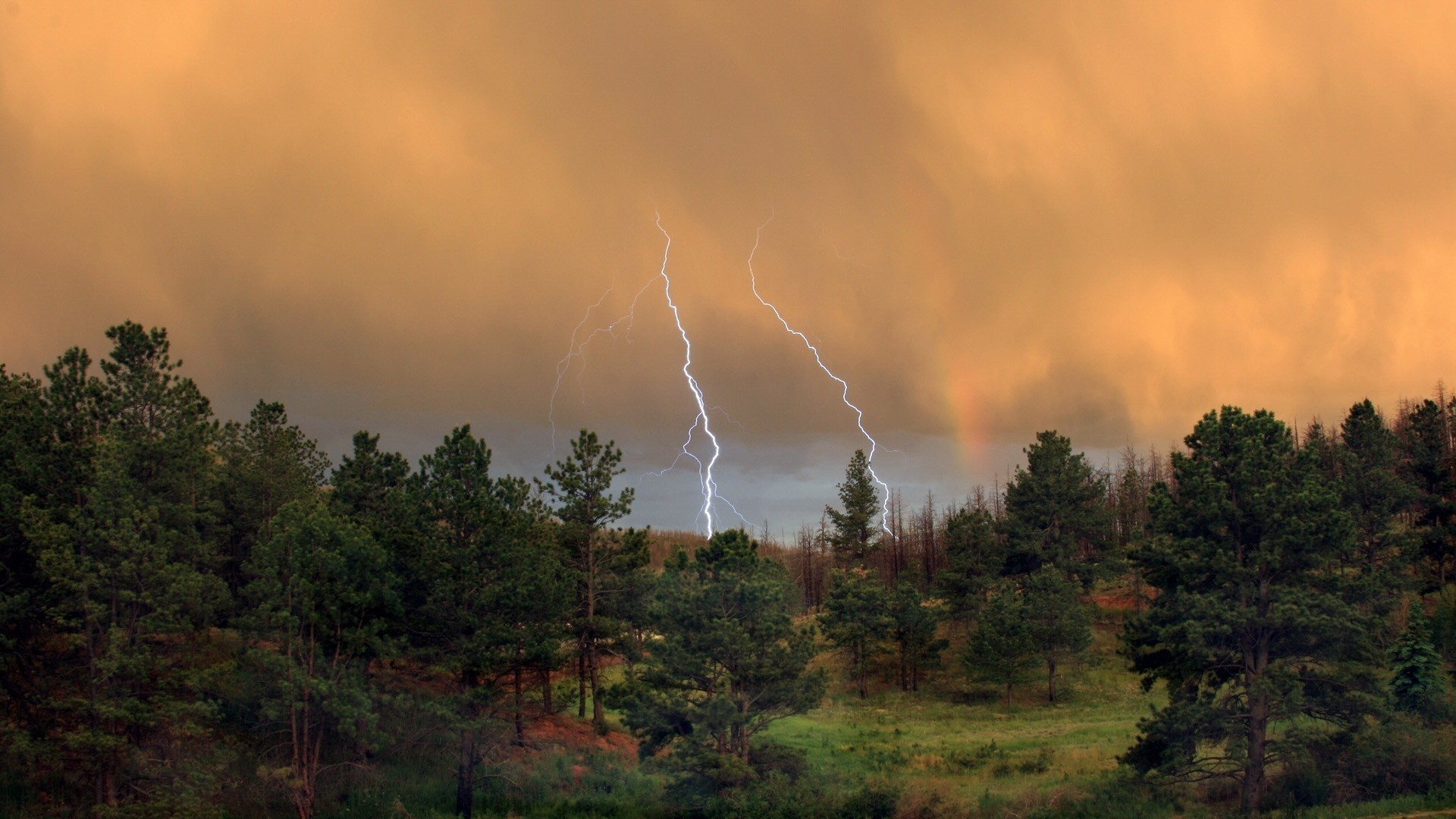 Lightning strikes over a forest with a rainbow HD Wallpaper