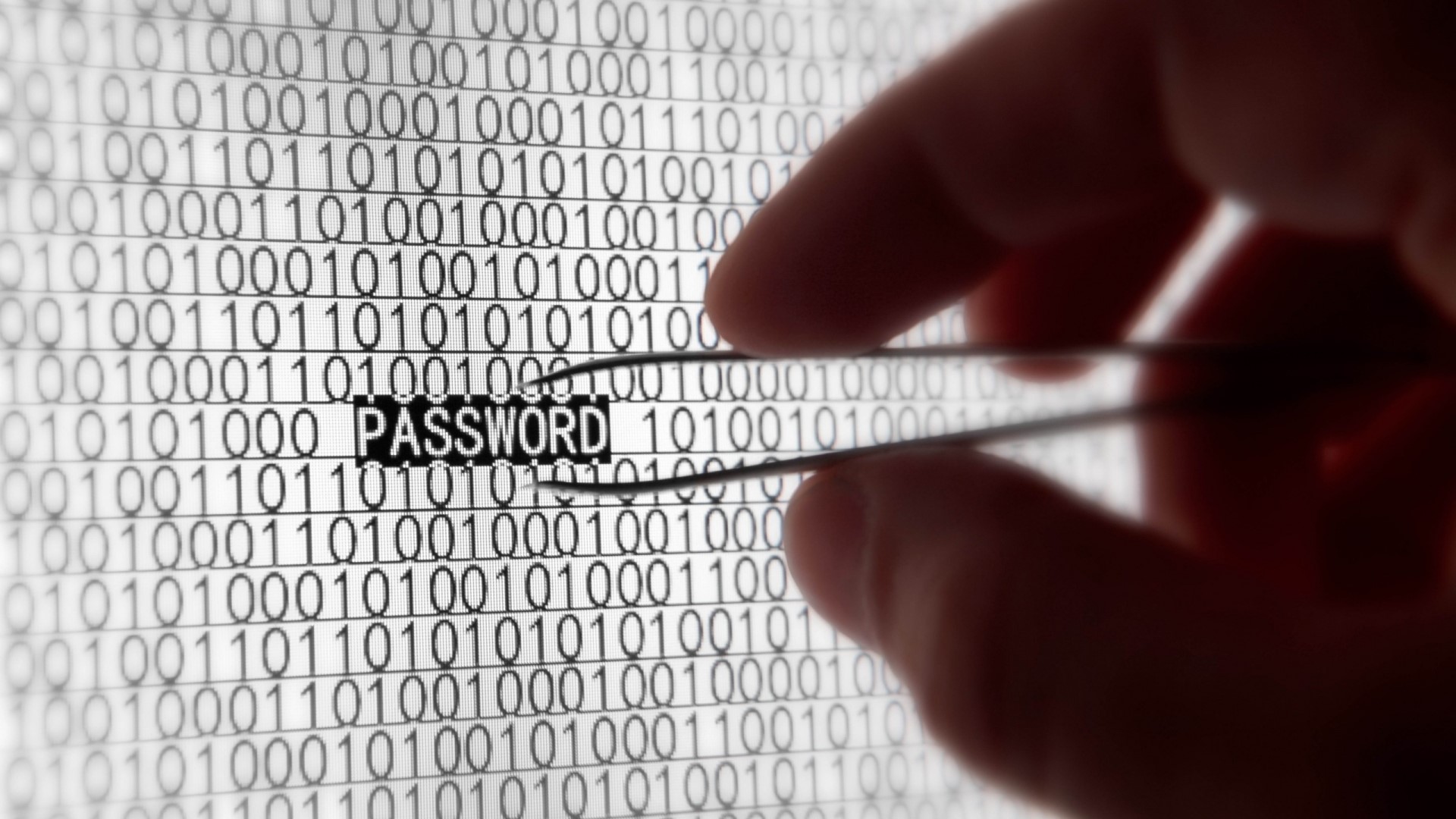 Hacking Password Binary Code HD Wallpaper