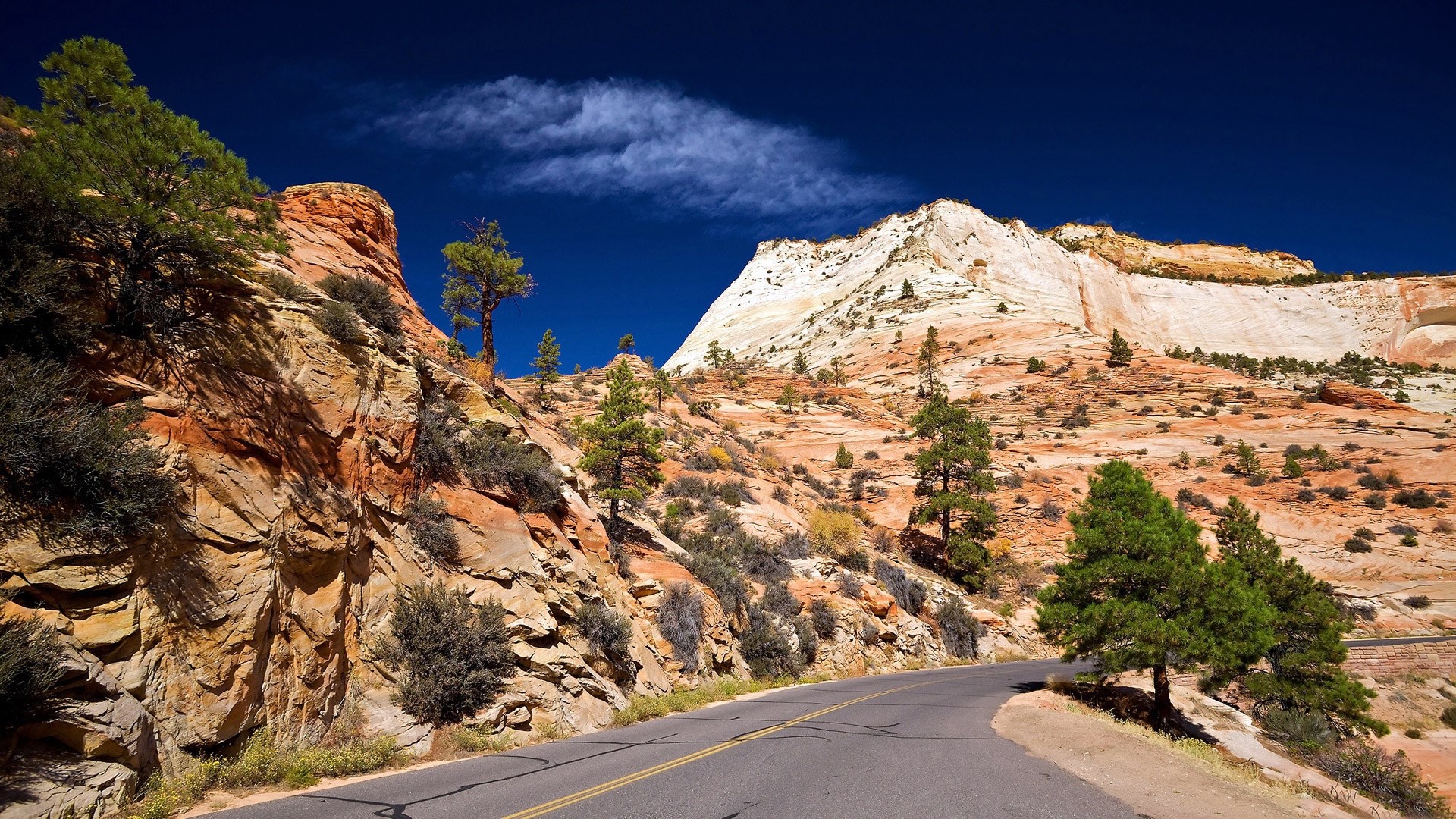 Desert Mountain Road with Pine Trees HD Wallpaper