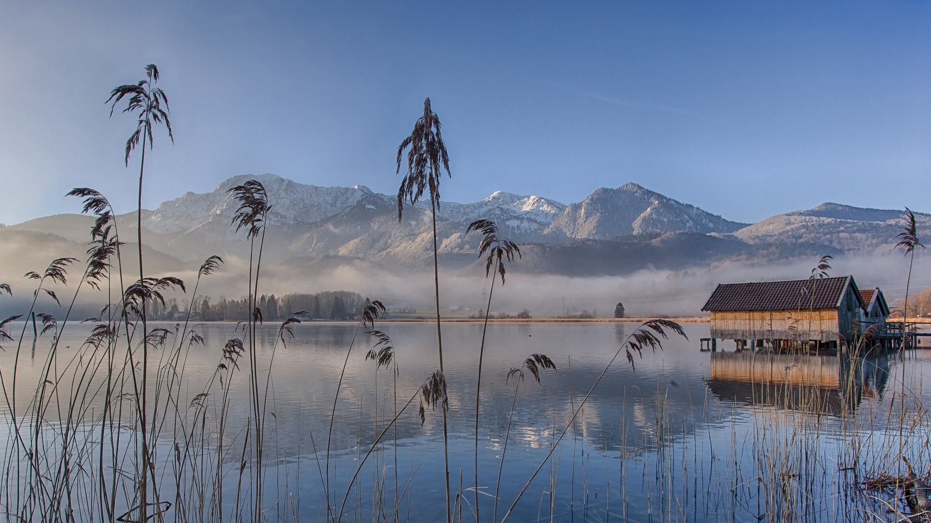 Lake Eichsee Bavaria Germany Morning Fog HD Wallpaper