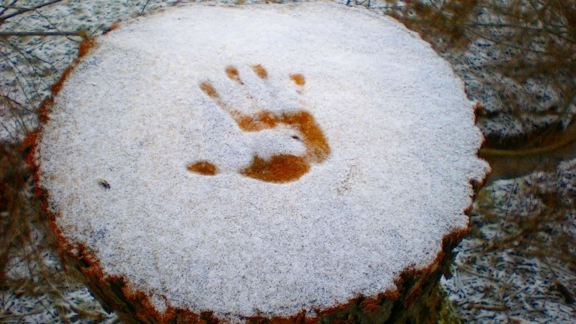 Handprint in Snow on Tree Stump HD Wallpaper