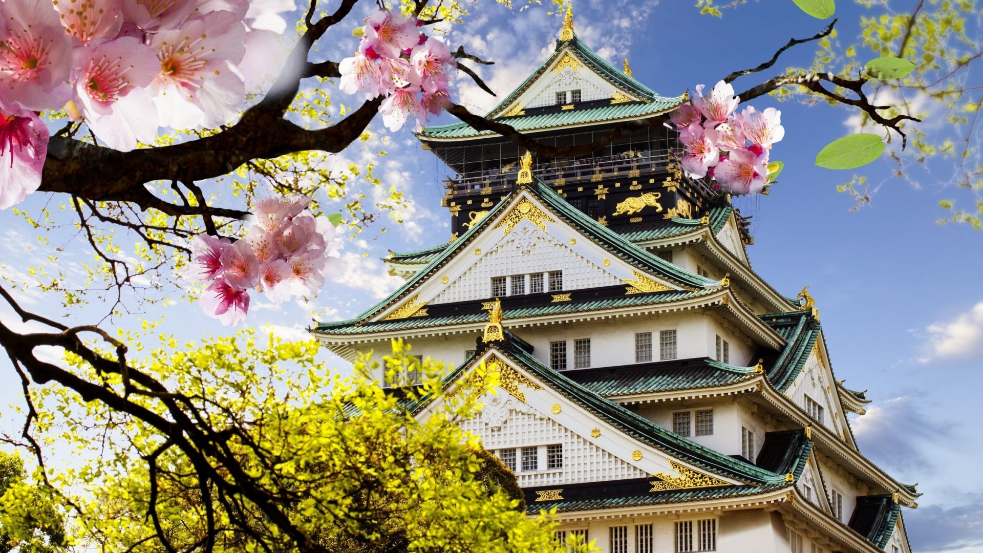 Osaka Castle in Japan with Cherry Blossoms HD Wallpaper