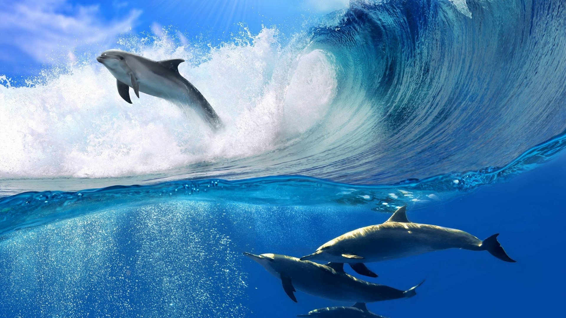 Dolphins jumping and swimming in a wave HD Wallpaper