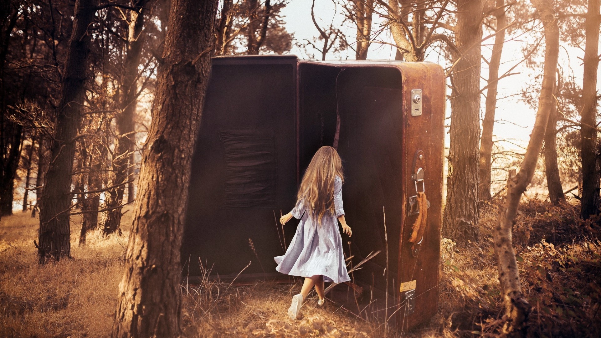 Girl entering a large suitcase in a forest HD Wallpaper