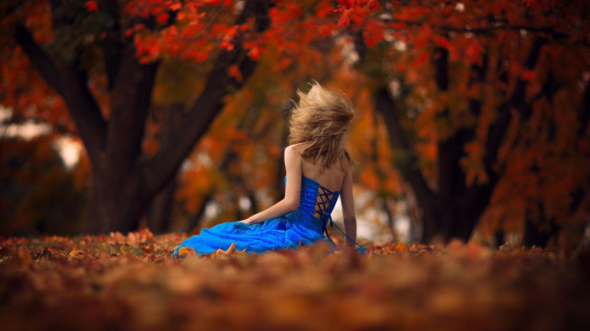 Girl in blue dress sitting in autumn leaves HD Wallpaper