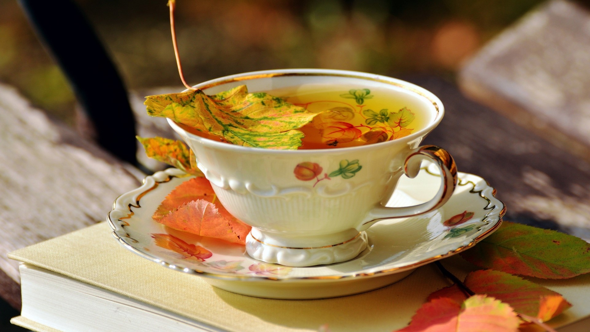 Tea with autumn leaves in a teacup HD Wallpaper