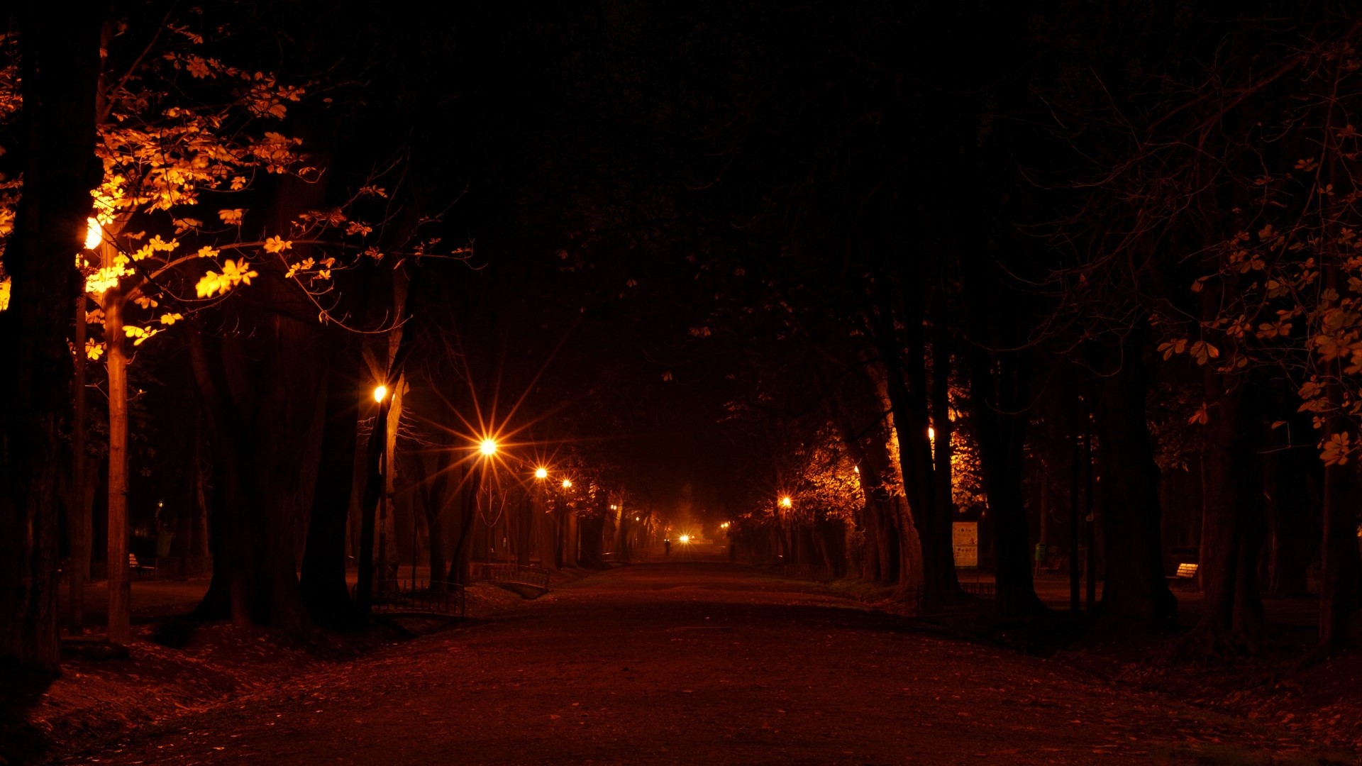 Park path at night with streetlights HD Wallpaper