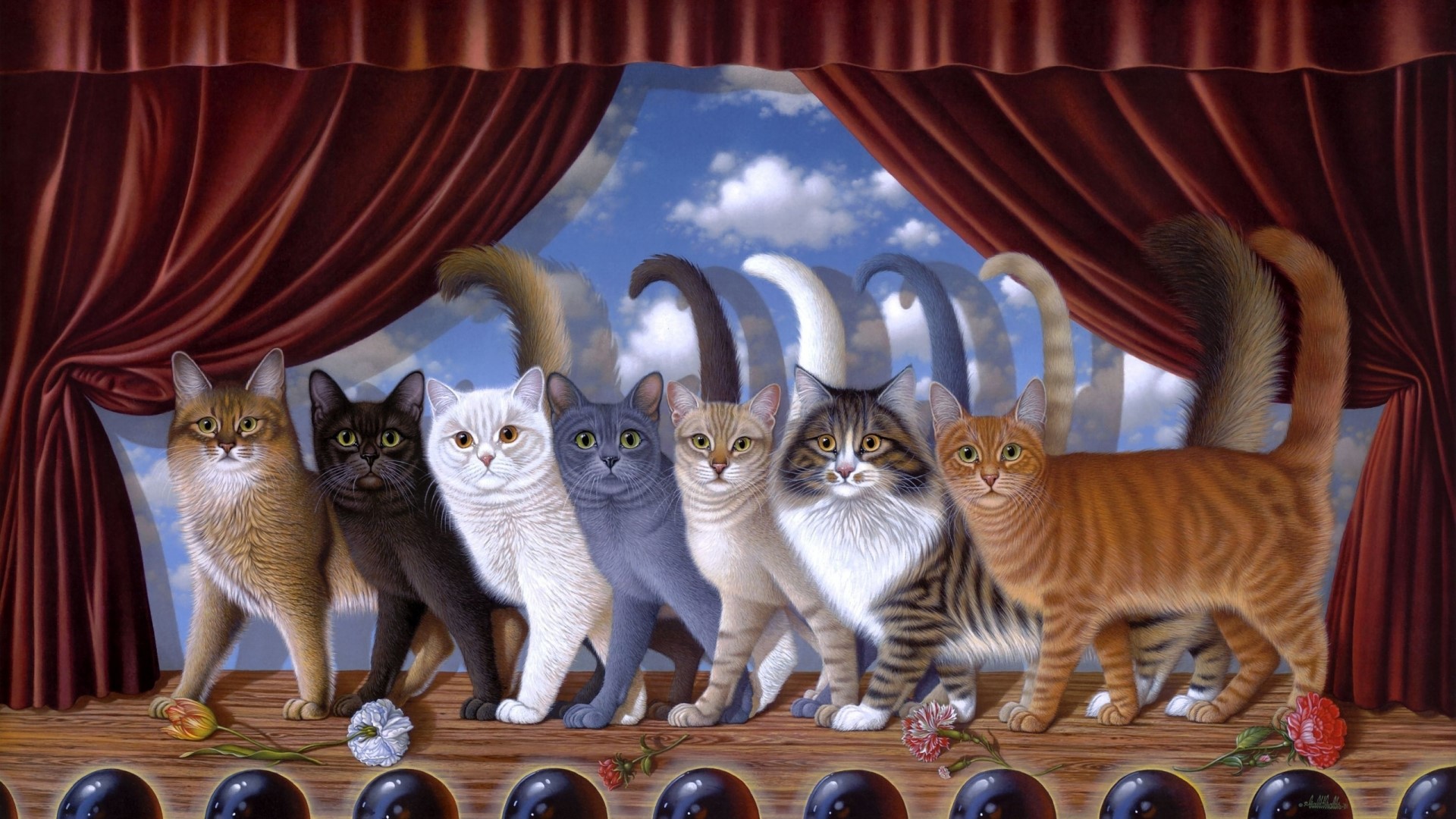 Cats on stage with red curtains and blue sky HD Wallpaper