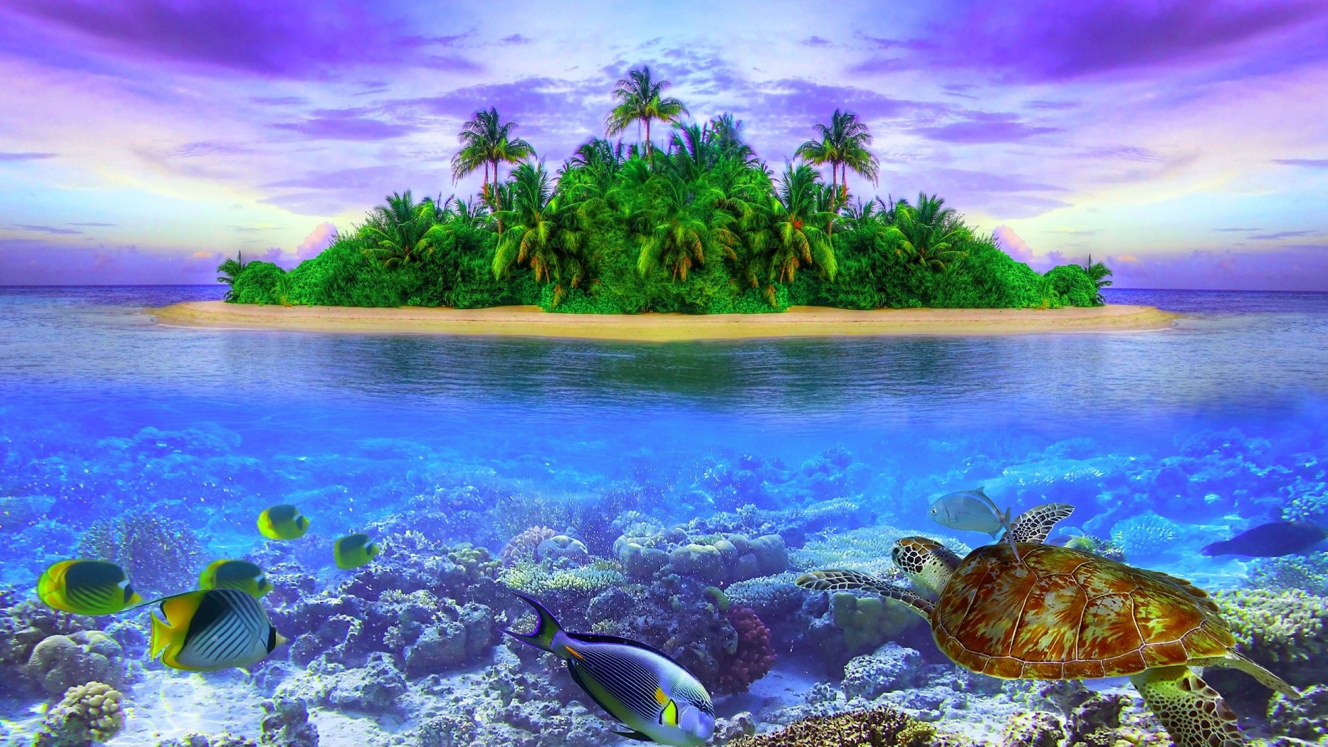 Island and underwater world with sea turtle and fish HD Wallpaper