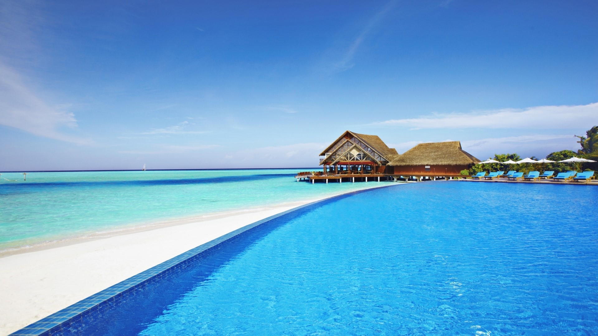 Infinity Pool at Tropical Resort Overlooking Ocean HD Wallpaper