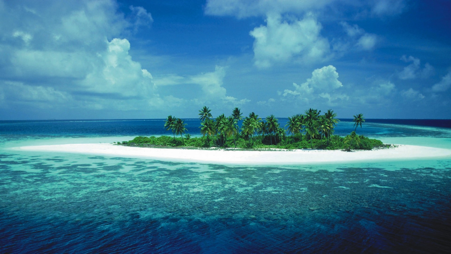Tropical island with palm trees and clear blue water HD Wallpaper