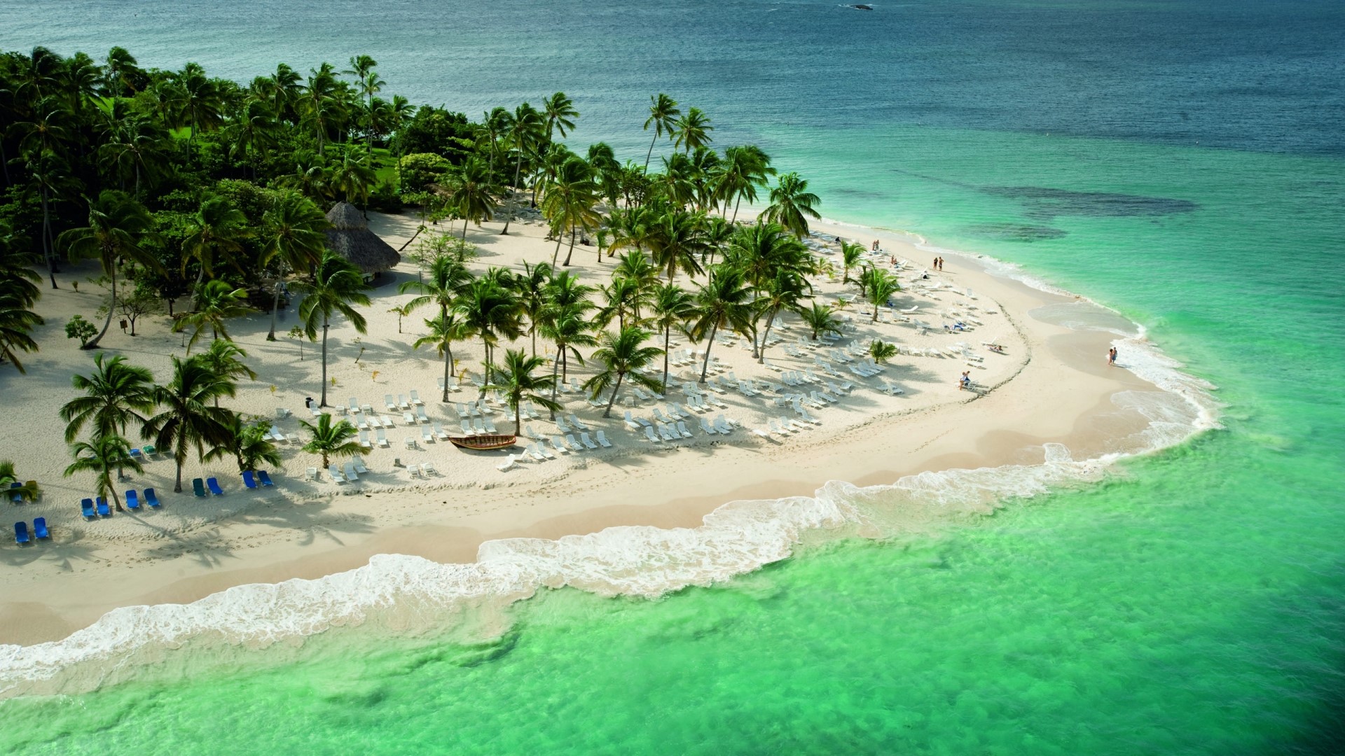 Tropical beach with palm trees and turquoise ocean HD Wallpaper