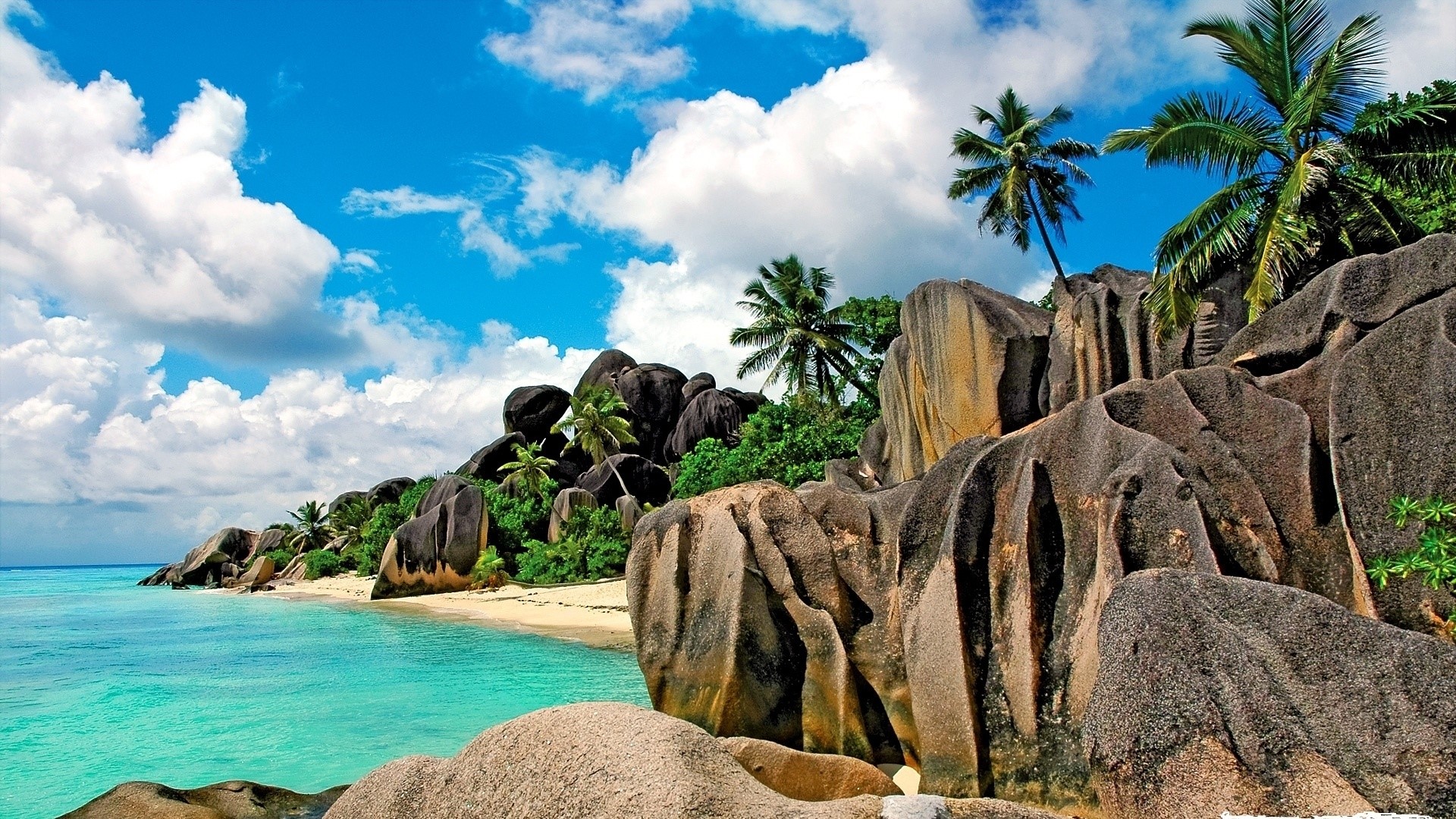 Tropical island with granite boulders and palm trees HD Wallpaper