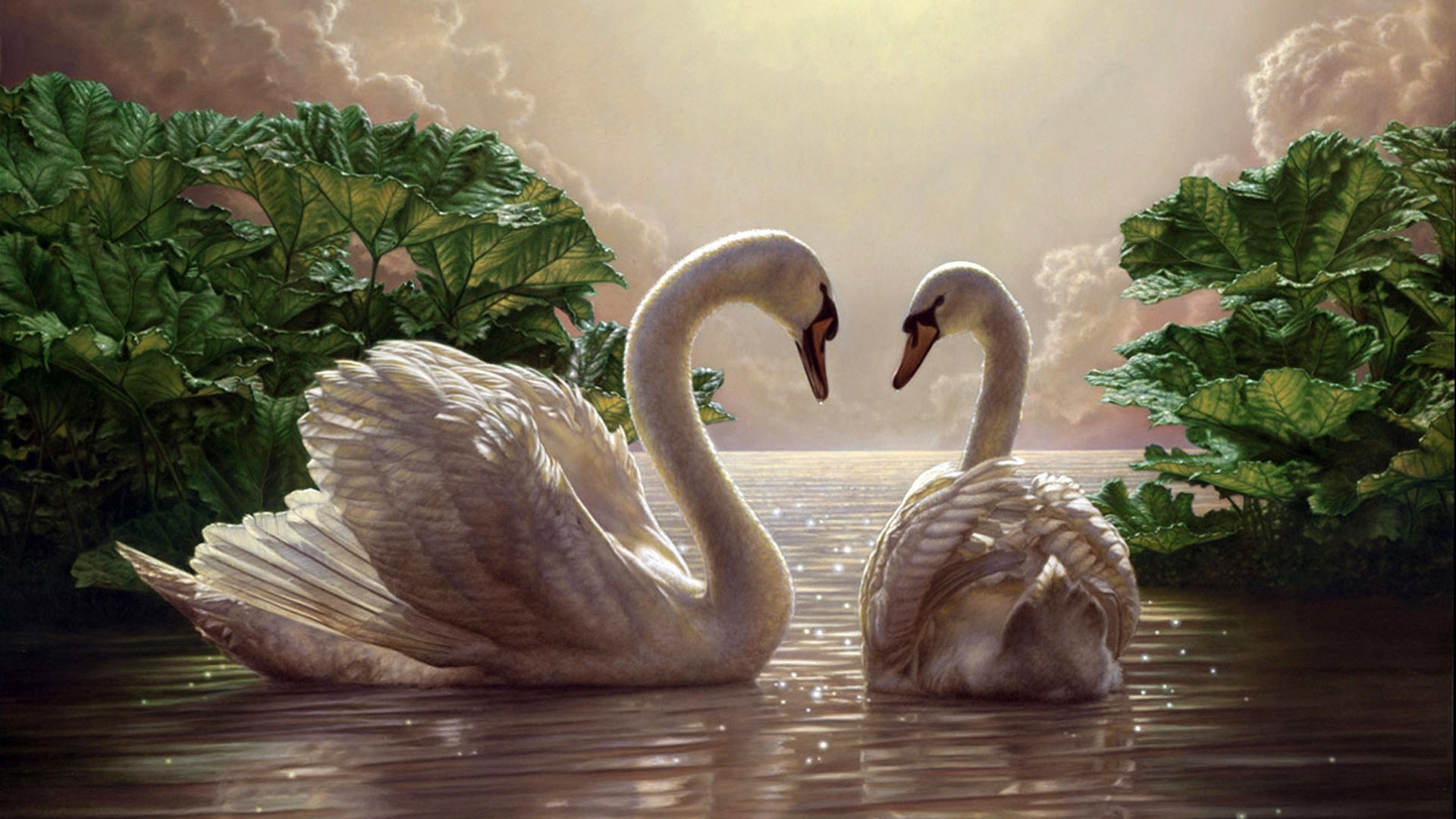 Two swans in water with plants HD Wallpaper