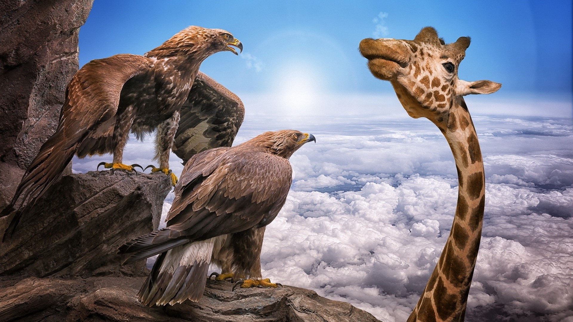 Two eagles and a giraffe in the sky HD Wallpaper