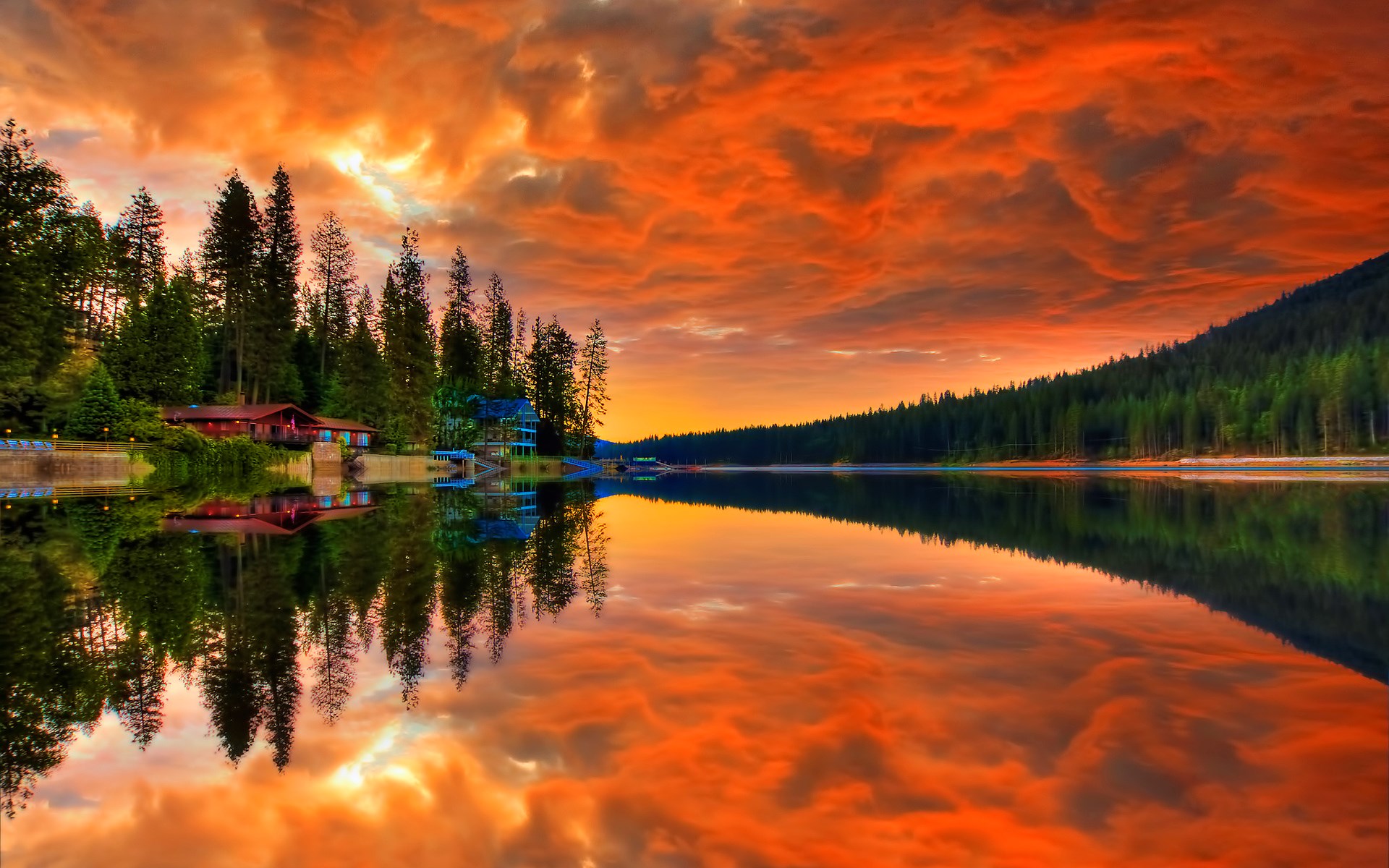 Sunset over a lake with pine trees and houses HD Wallpaper