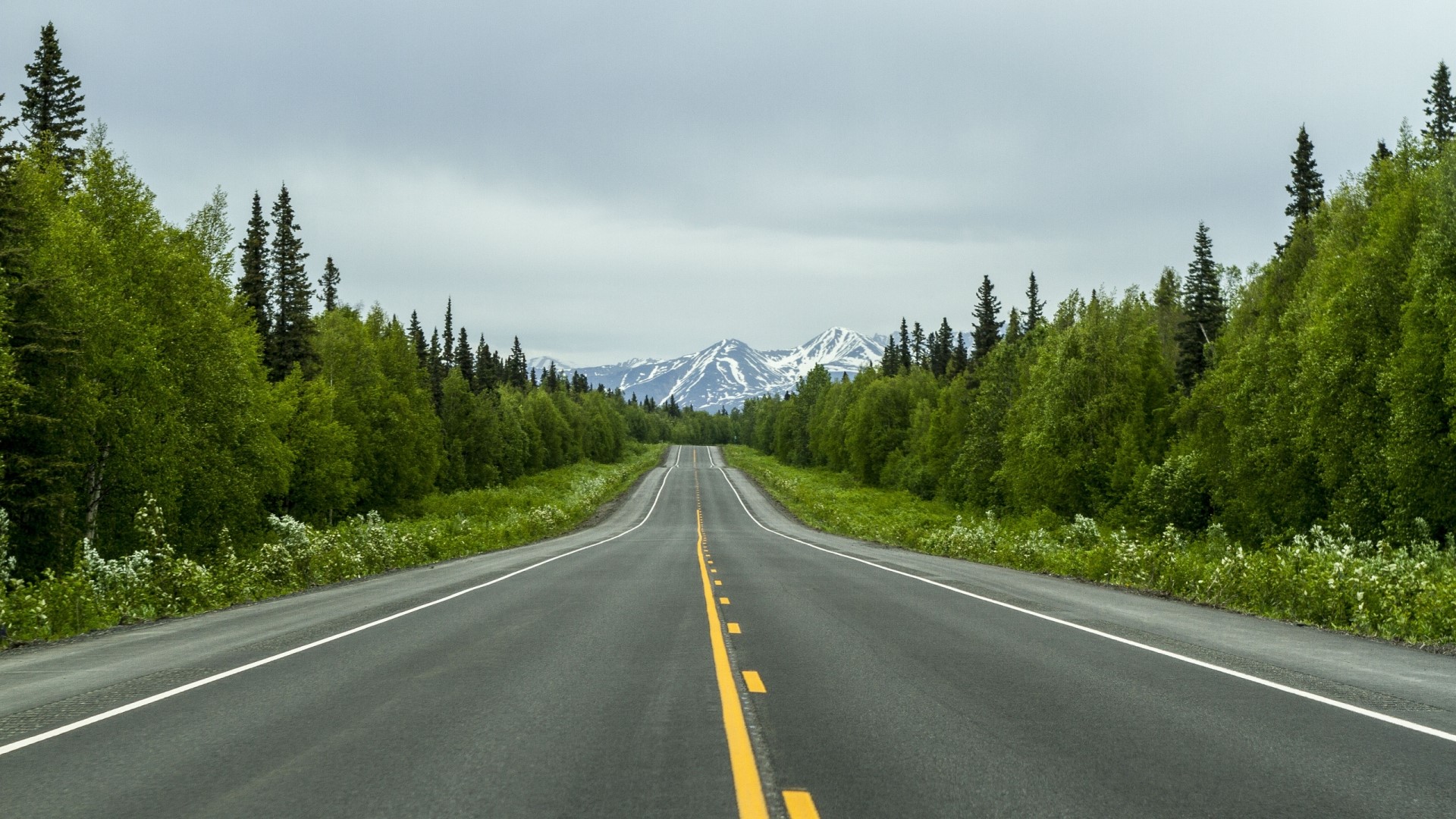 Road through forest to snow-capped mountains HD Wallpaper