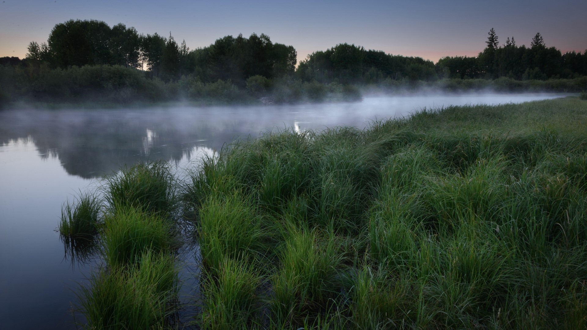 Misty River at Dawn with Green Grass HD Wallpaper