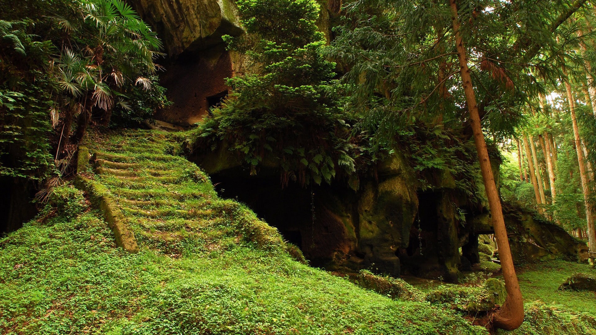 Moss-covered stone stairs leading to a cave entrance in a forest HD Wallpaper