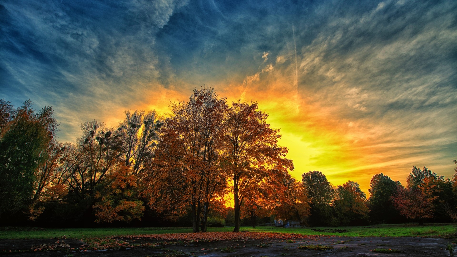 Autumn Sunset Over Trees HD Wallpaper