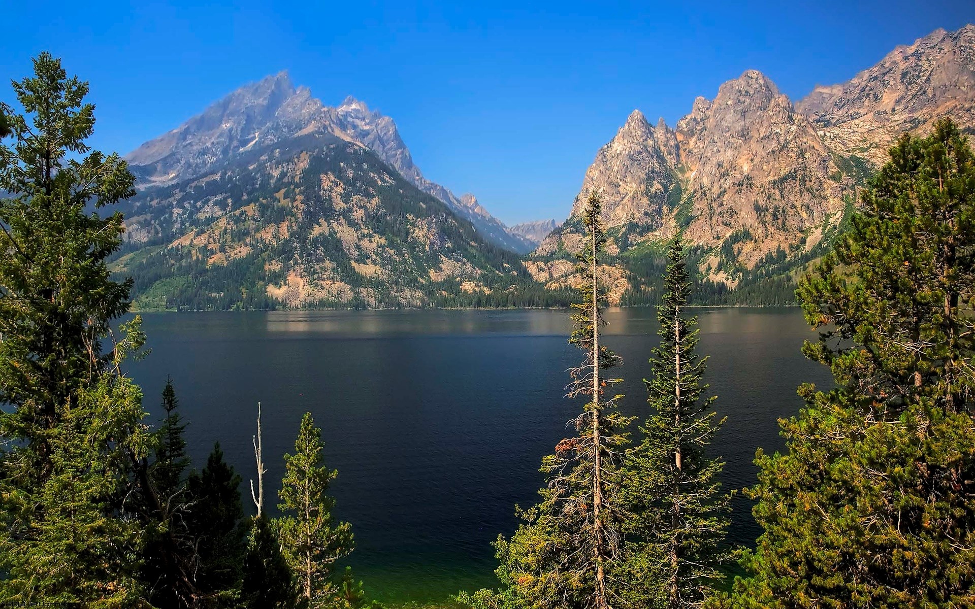 Grand Teton National Park Lake and Mountains HD Wallpaper