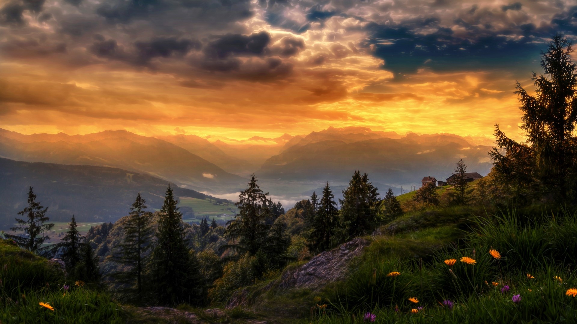 Mountains at sunset with trees and flowers HD Wallpaper