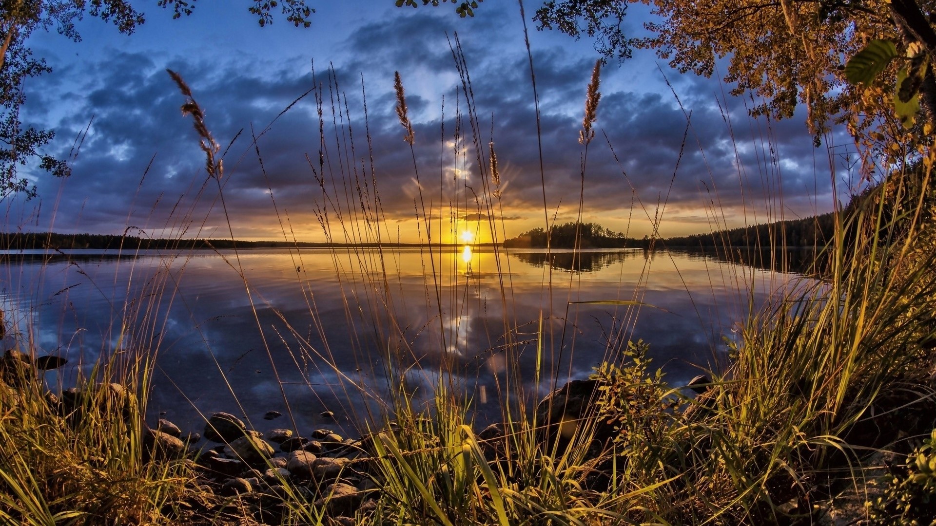 Sunset over a calm lake with tall grass in the foreground HD Wallpaper