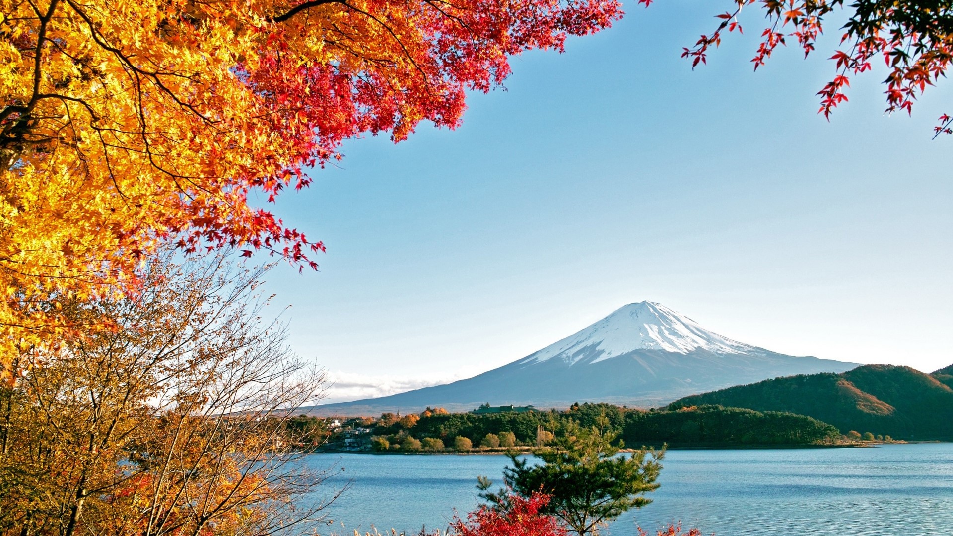 Mount Fuji and Autumn Trees by Lake HD Wallpaper