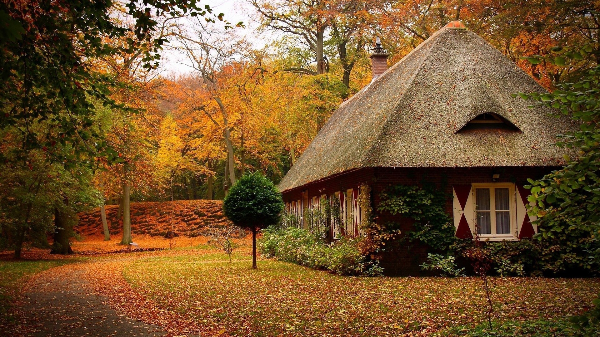 Autumn Cottage in a Forest HD Wallpaper