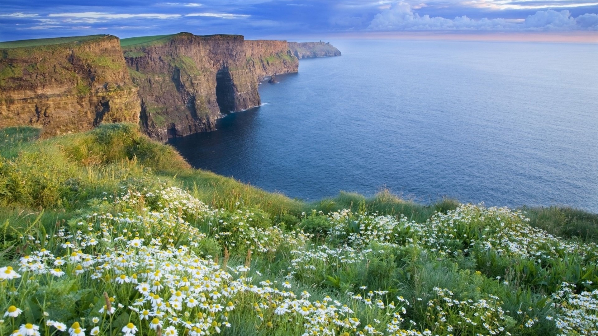 Cliffs of Moher, Ireland HD Wallpaper