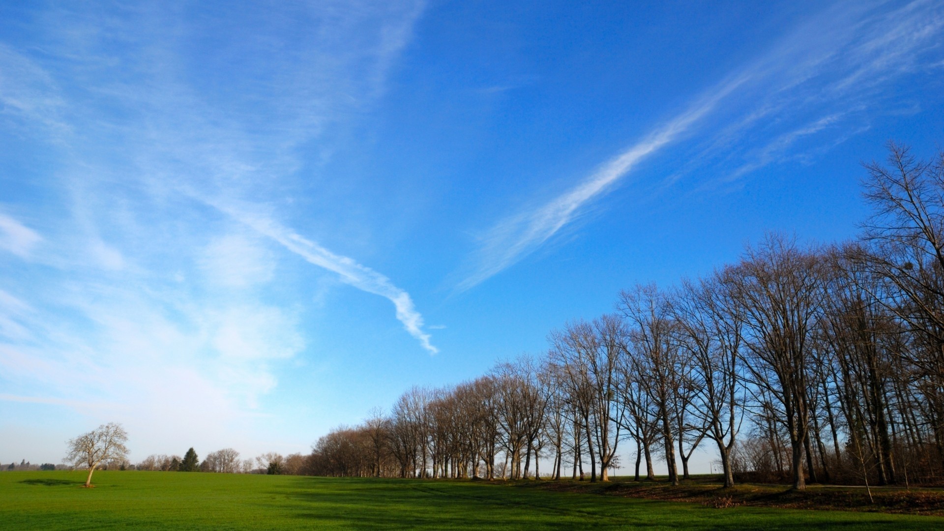 Blue sky with wispy clouds over a green field and trees HD Wallpaper