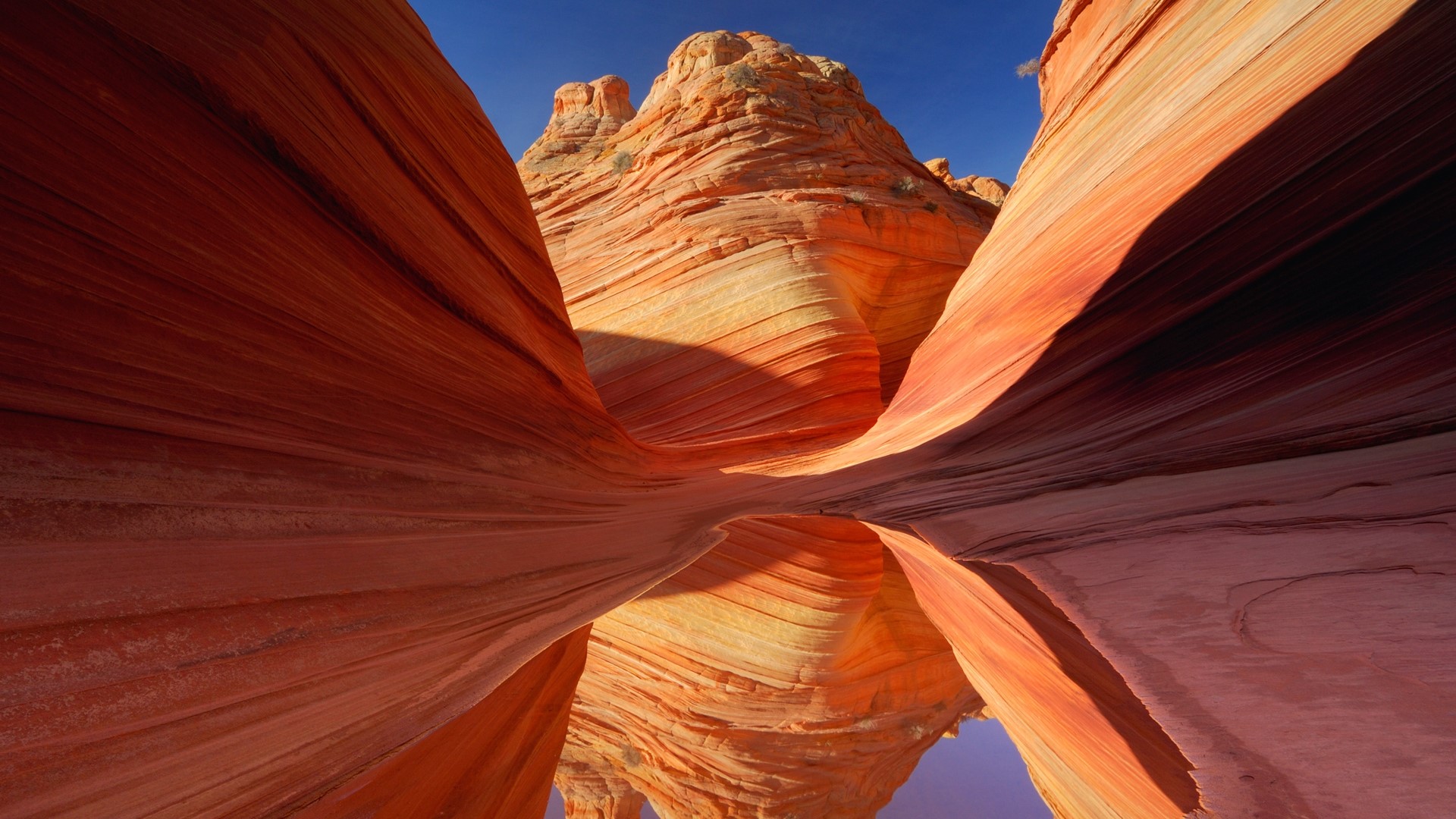 The Wave sandstone formation in Arizona HD Wallpaper