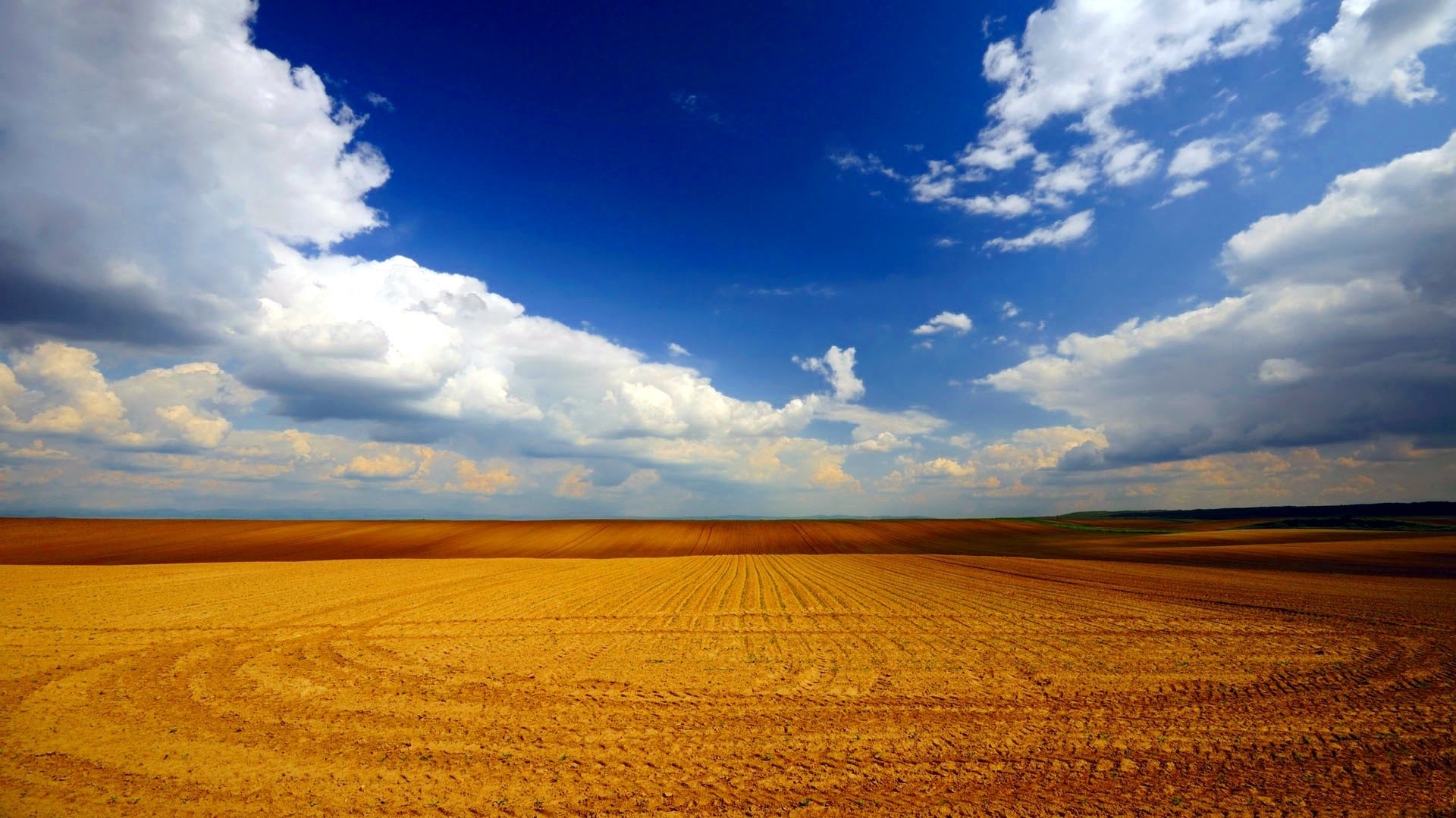 Vast plowed field under a blue sky with clouds HD Wallpaper