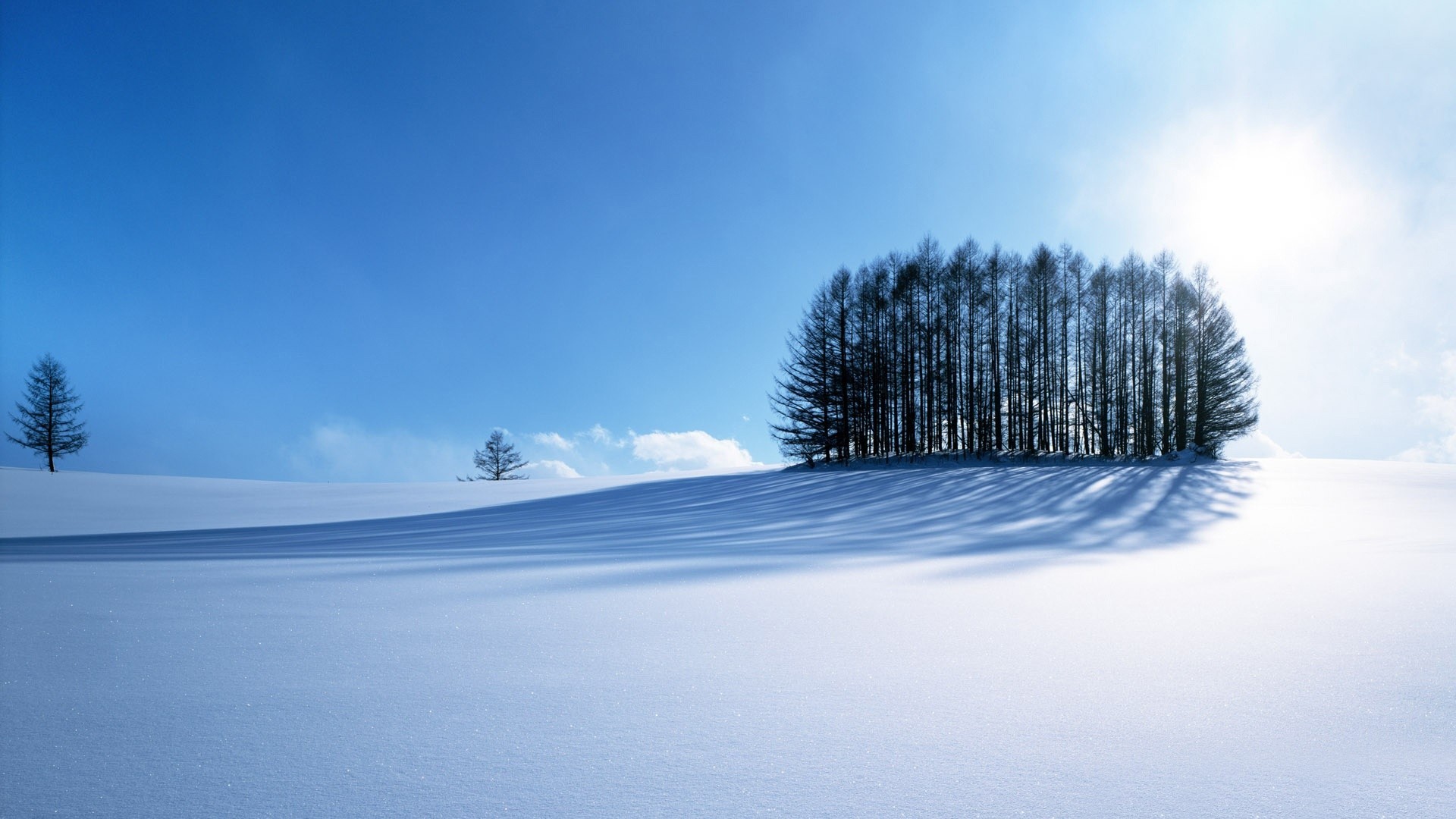 Winter Scenery with Trees and Snow HD Wallpaper