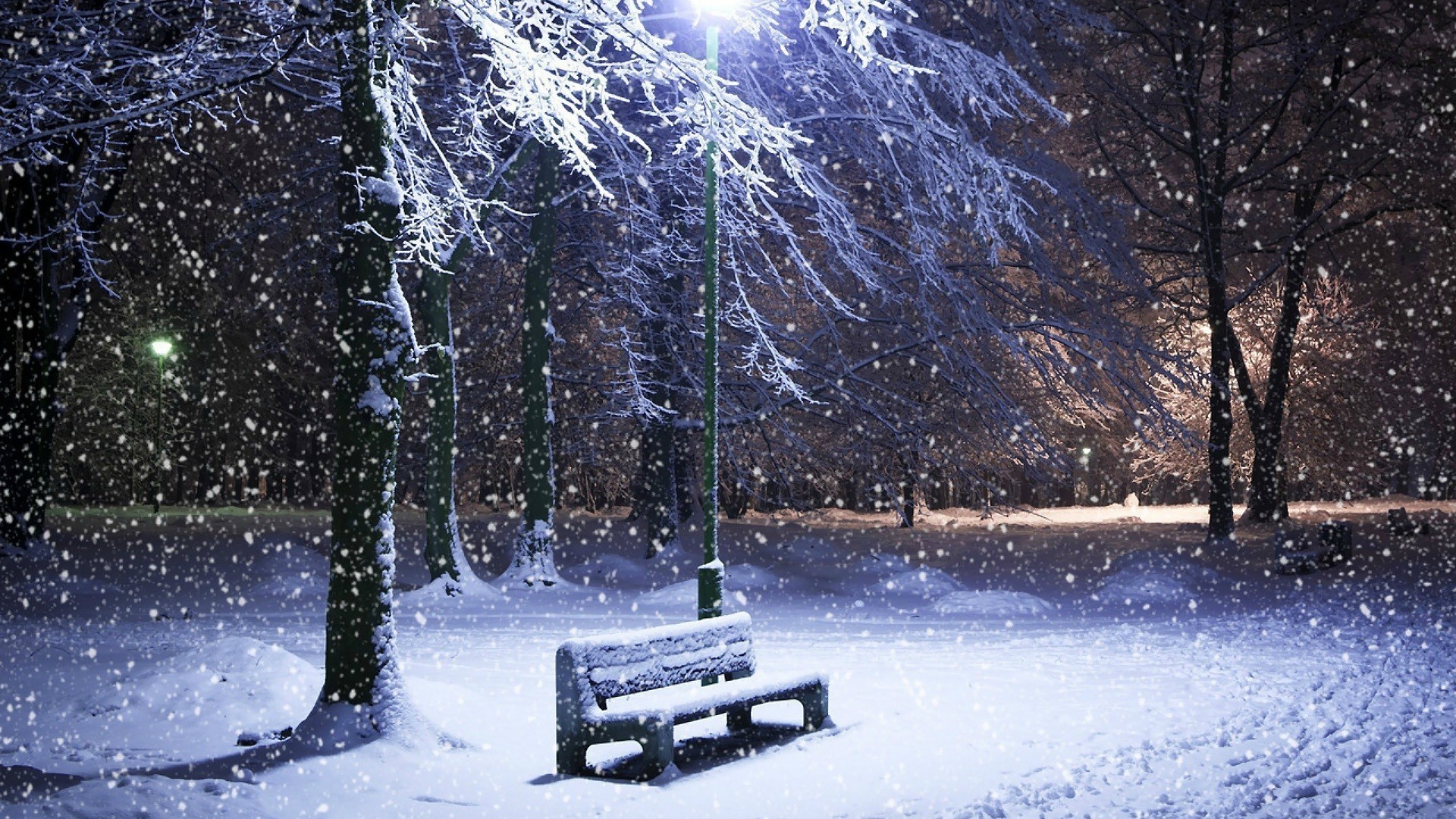 Winter Park Bench Under Snowfall HD Wallpaper
