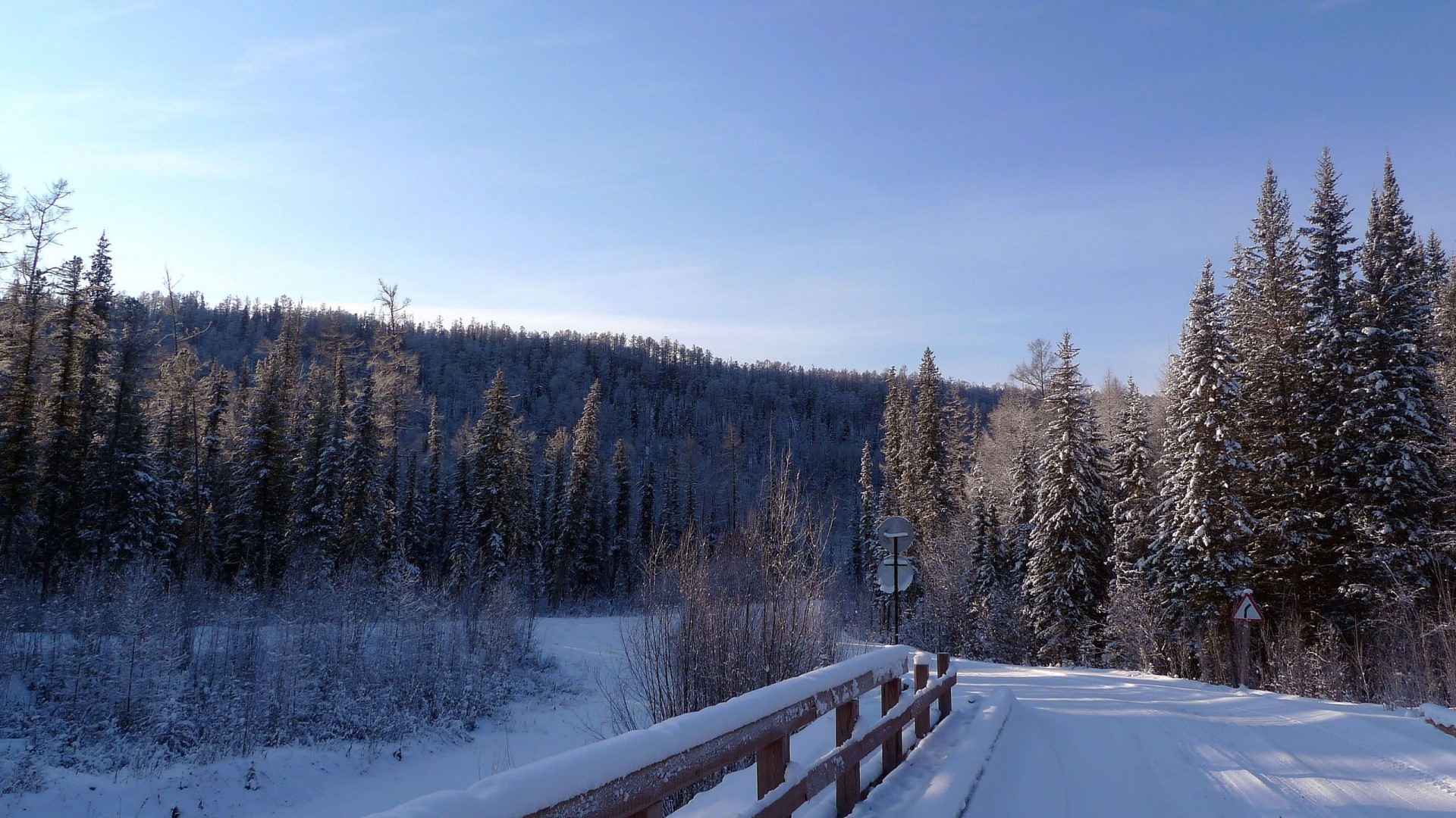 Winter forest landscape with snow-covered trees and road HD Wallpaper