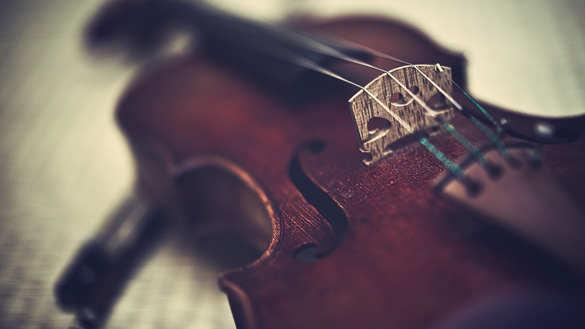 Close-up of a Violin Bridge and Strings HD Wallpaper