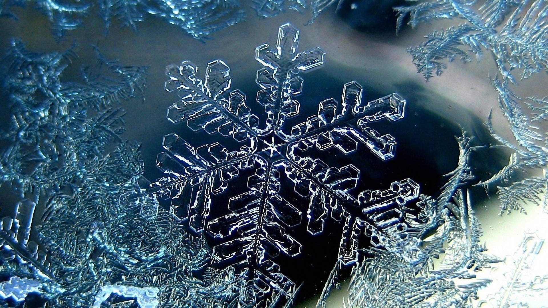 Close-up of a snowflake and ice crystals HD Wallpaper