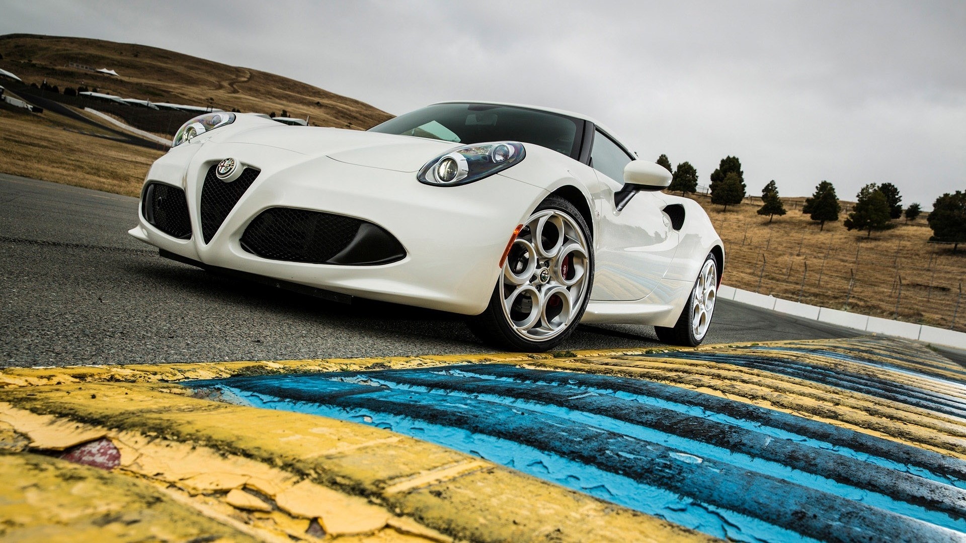 White Alfa Romeo 4C on a Racetrack HD Wallpaper