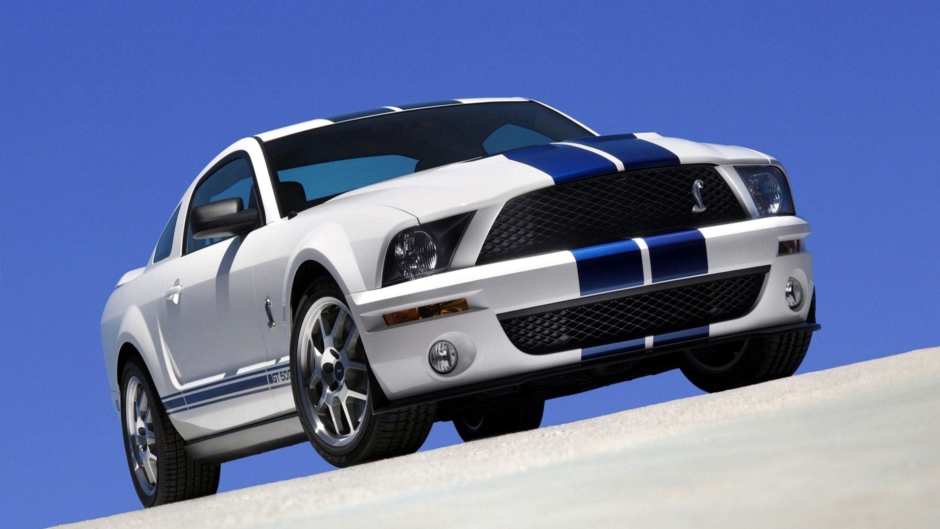 White Ford Mustang GT 500 Cobra with Blue Stripes HD Wallpaper