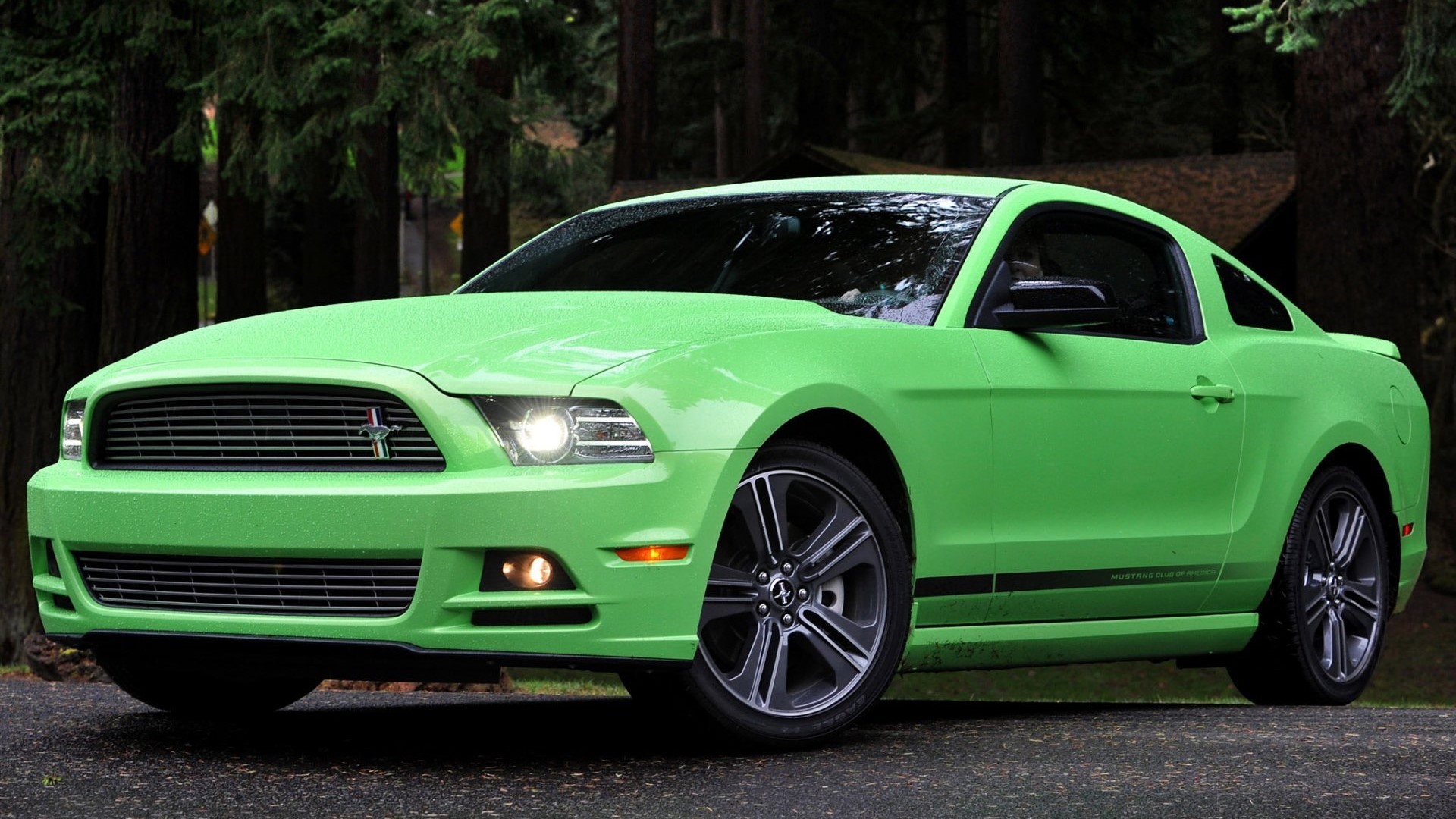 Green Ford Mustang HD Wallpaper