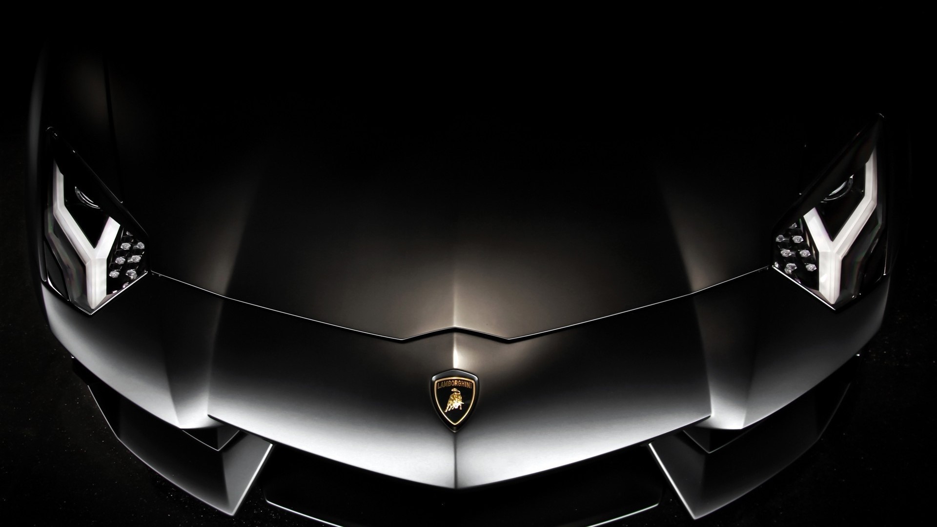 Lamborghini Aventador Hood Emblem and Headlights HD Wallpaper
