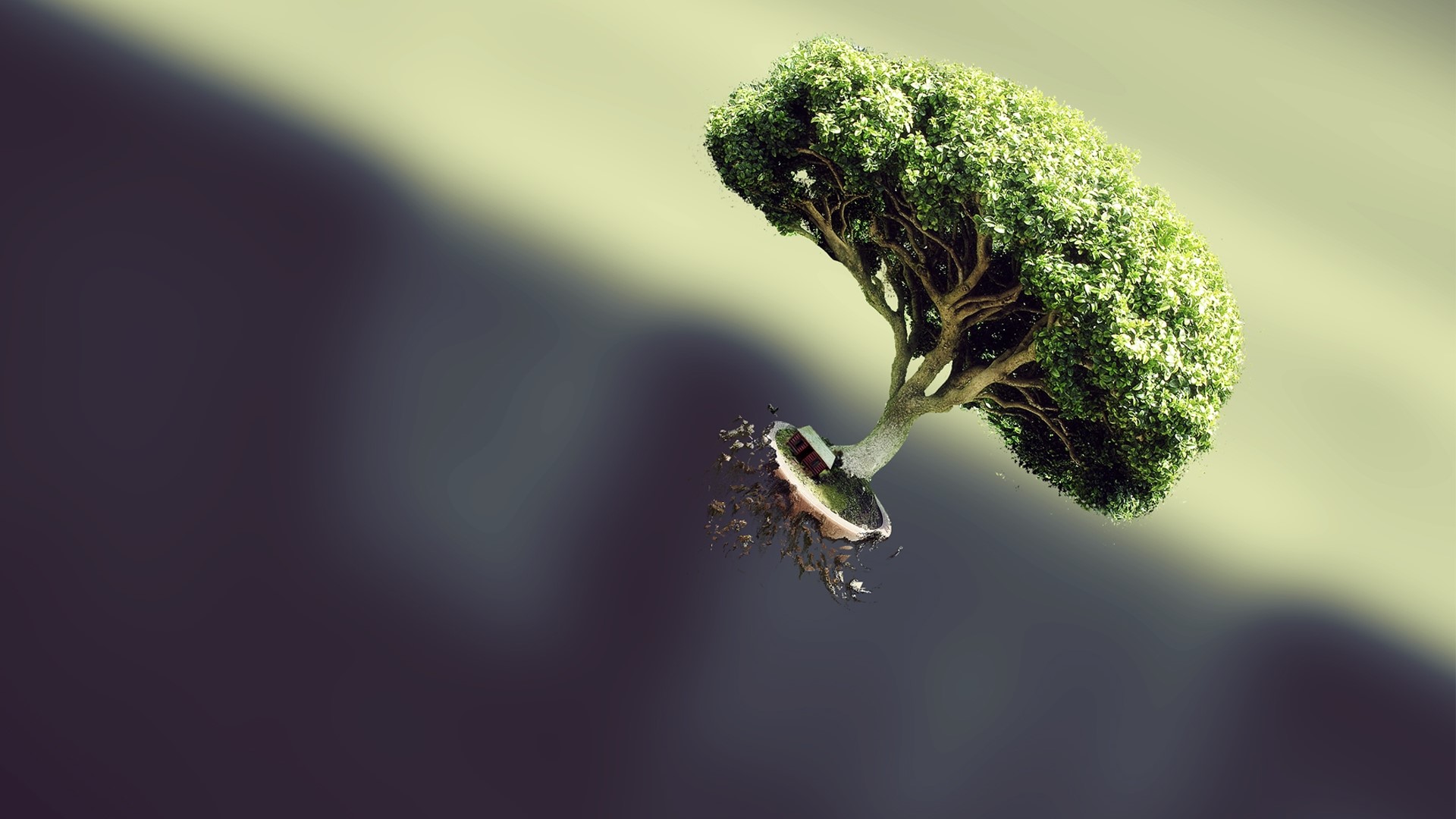 Floating Bonsai Tree HD Wallpaper
