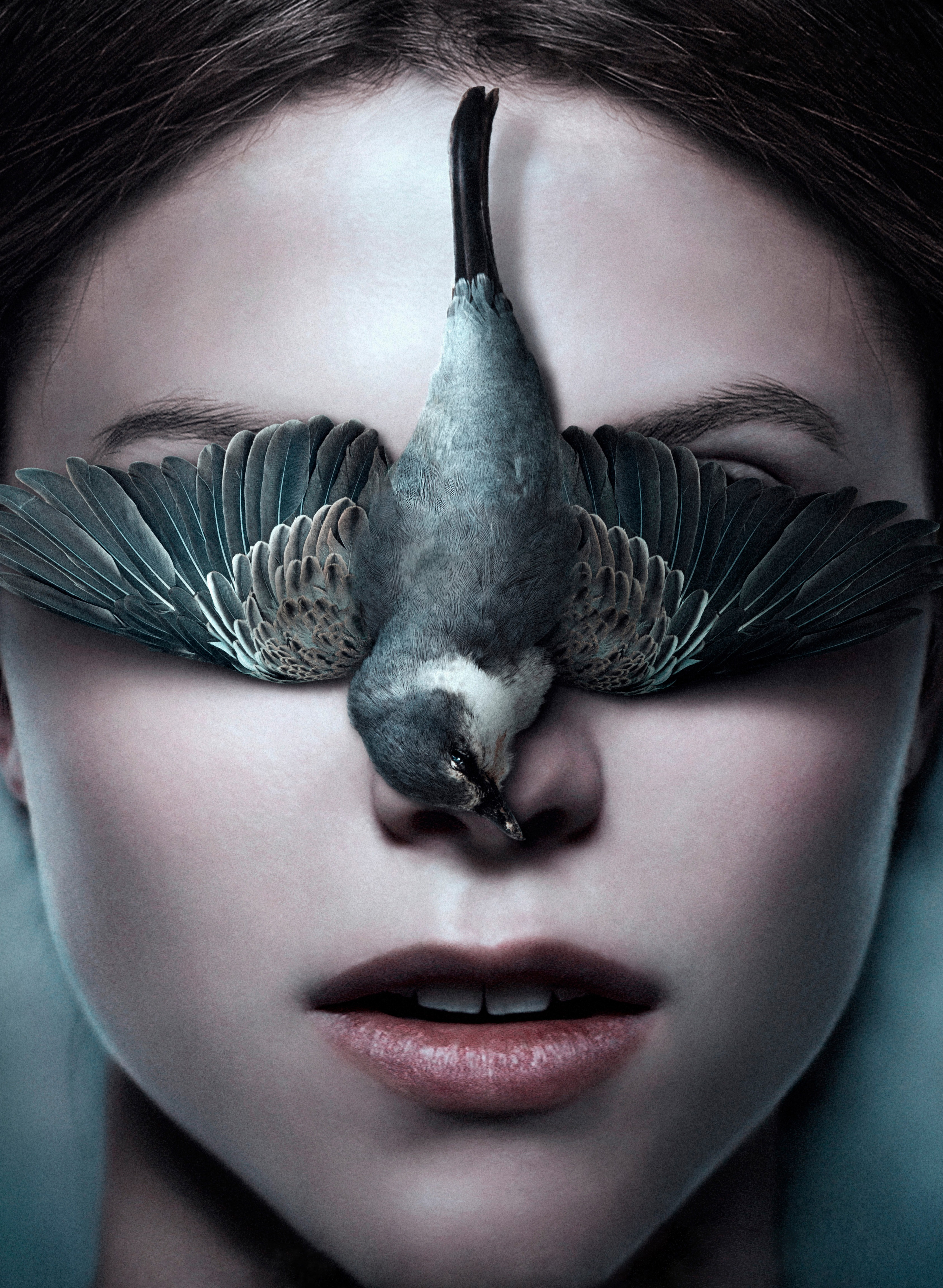 Thelma HD Wallpaper