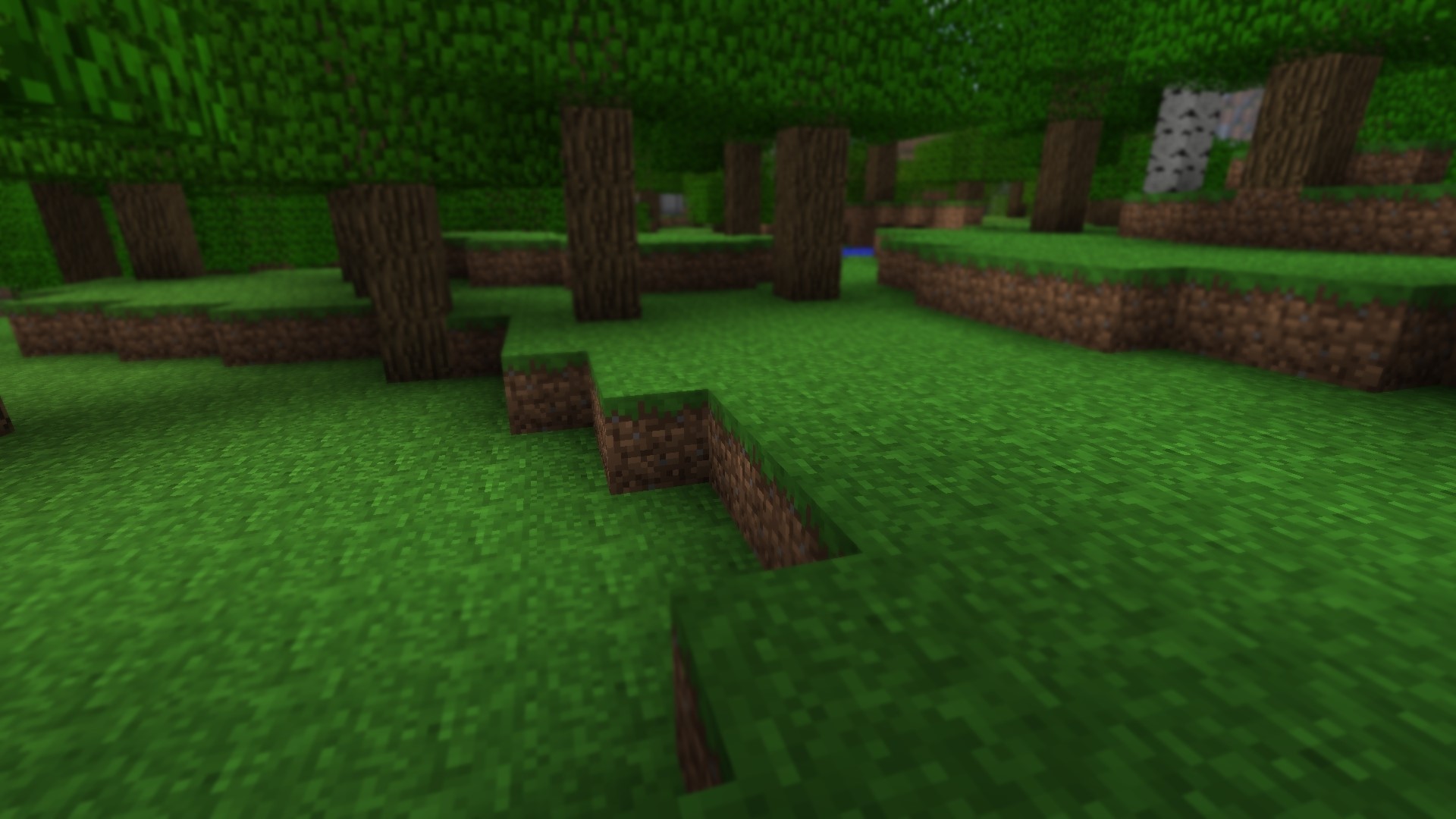 Minecraft forest with grass and trees HD Wallpaper