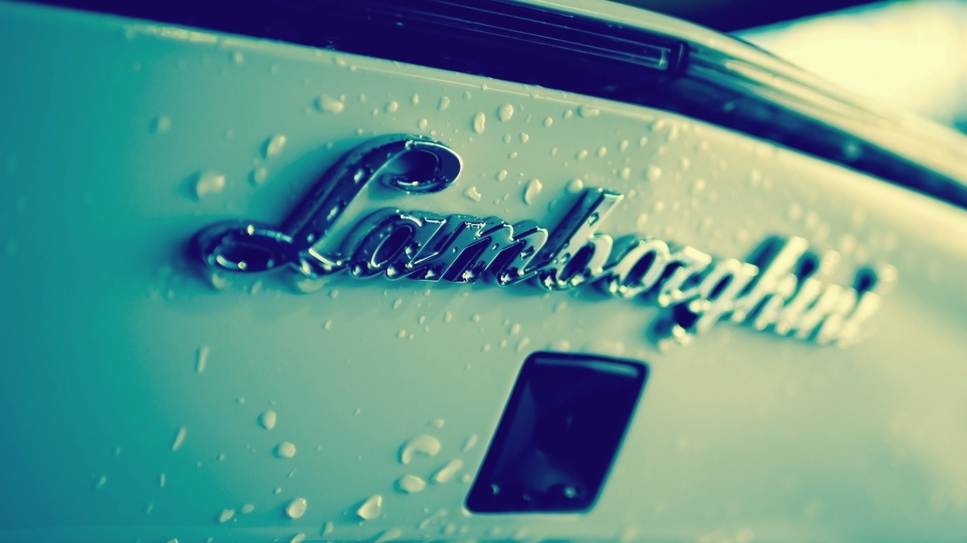 Lamborghini badge on a wet car HD Wallpaper
