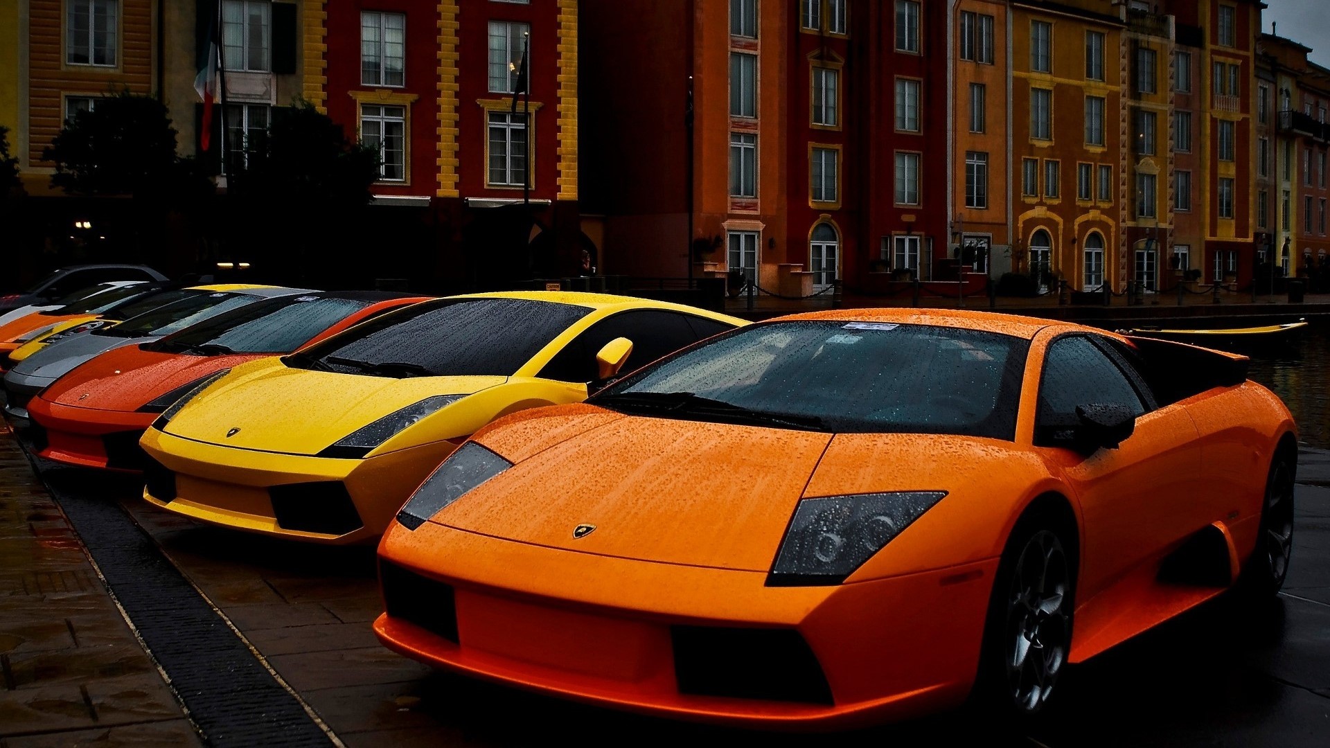Lamborghini Cars Lined Up in the Rain HD Wallpaper