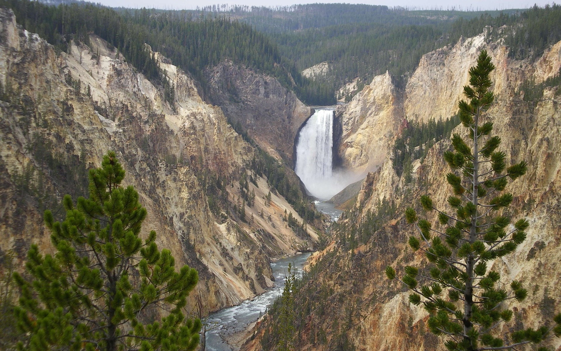 Lower Falls of the Yellowstone River in Grand Canyon of the Yellowstone HD Wallpaper