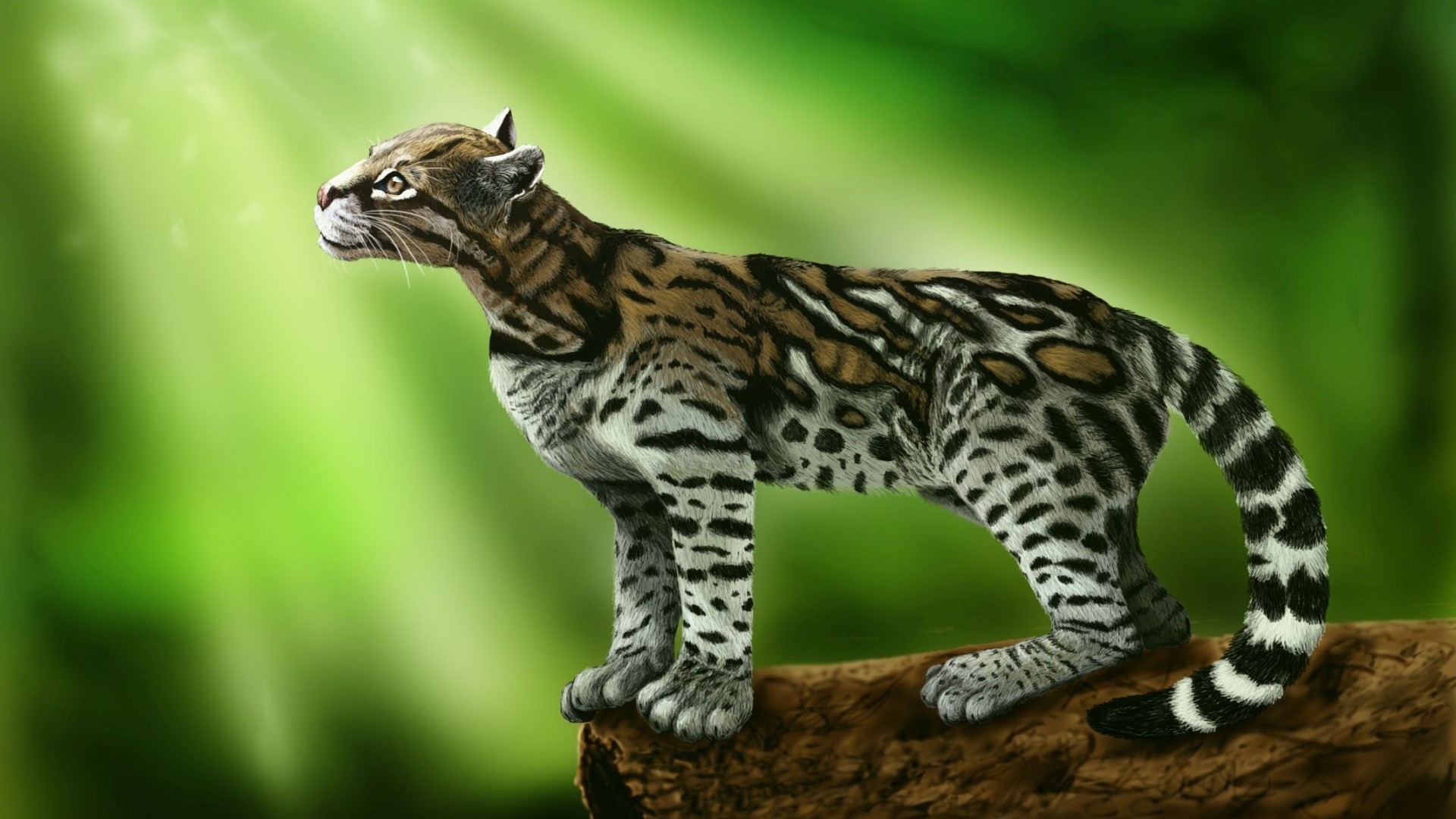 Ocelot on a log with green background HD Wallpaper
